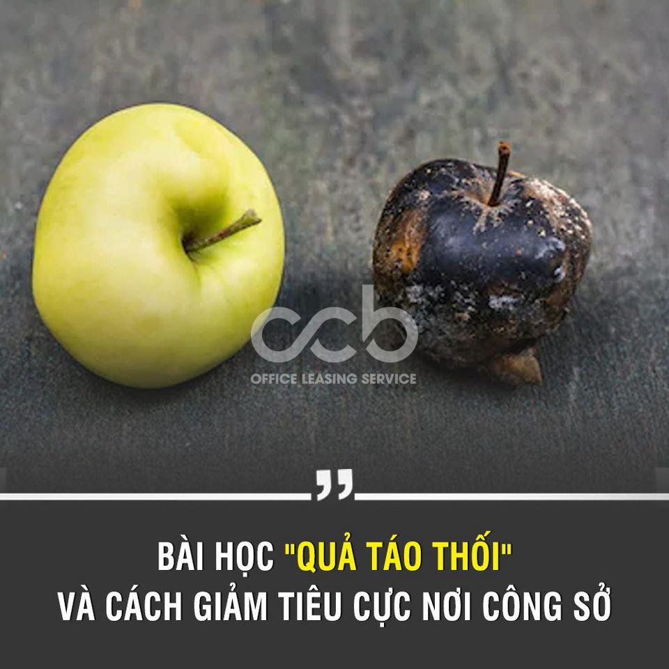 Bài học quả táo thối và cách giảm tiêu cực nơi công sở