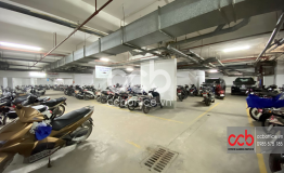 TÒA NHÀ CTM 299 CẦU GIẤY