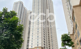 TÒA NHÀ D’ CAPITALE TRẦN DUY HƯNG