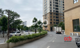 TÒA NHÀ D’ CAPITALE TRẦN DUY HƯNG