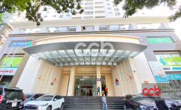 Tòa nhà 101 Láng Hạ