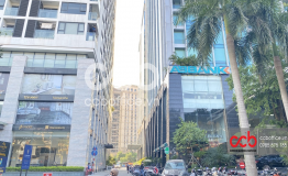 hoang-cau-skyline
