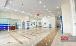 25T2 Trung Hòa, Hoàng Đạo Thúy Cầu Giấy