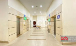 29T1 Trung Hòa, Hoàng Đạo Thúy Cầu Giấy