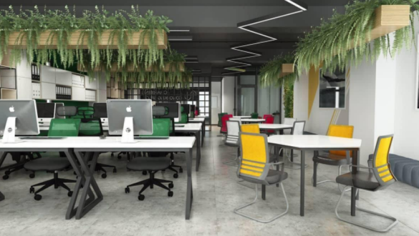 Top 11 cách trang trí văn phòng đẹp 2022