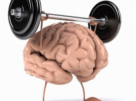 RÈN LUYỆN TRÍ ÓC MỖI NGÀY ĐỂ THÀNH CÔNG